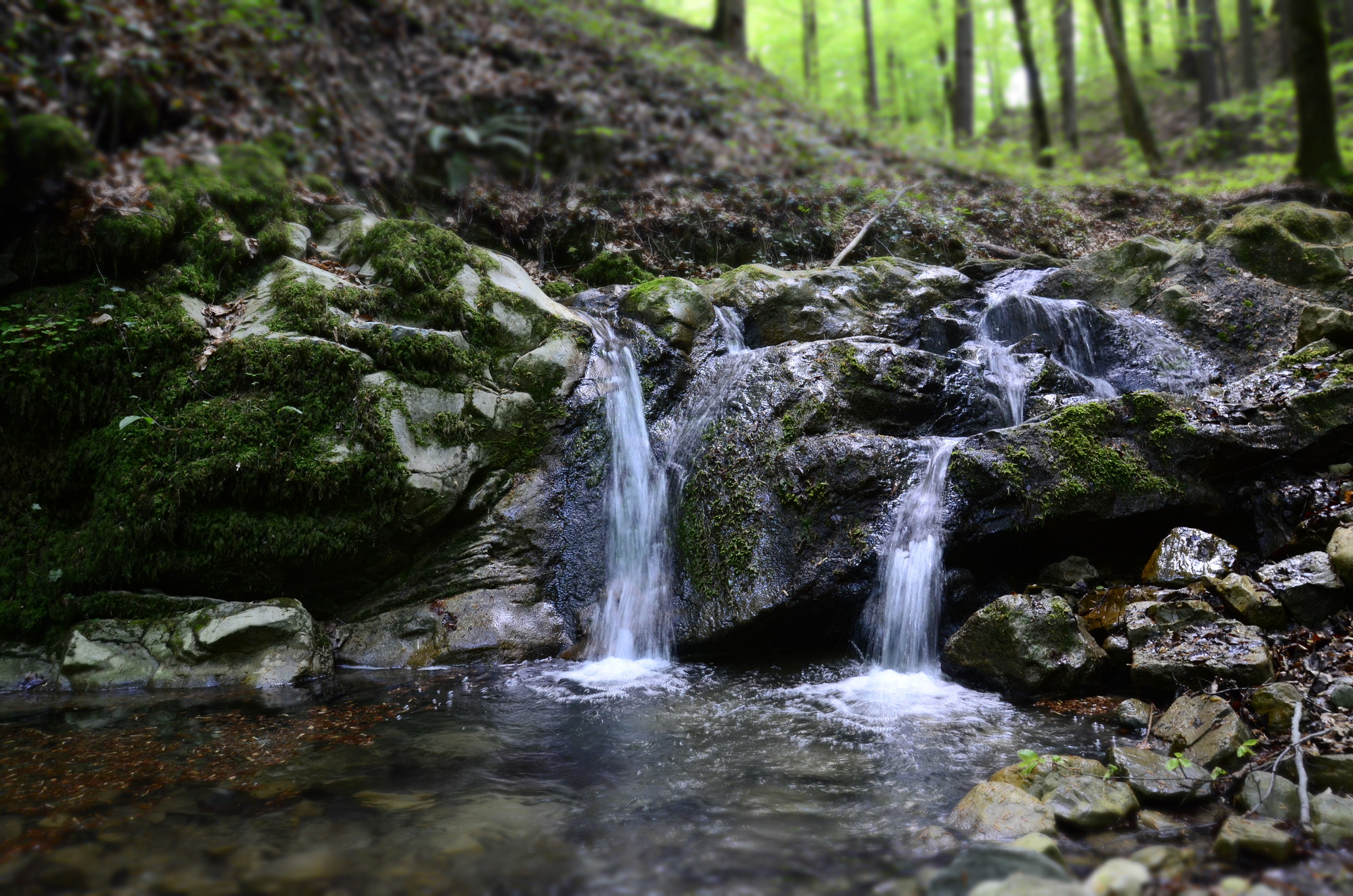 Wasserplätschern im Wald Auf diesem Bild sieht mann einen kleinen Wasserfall in einem Bachlauf in der Nahaufnahme.
