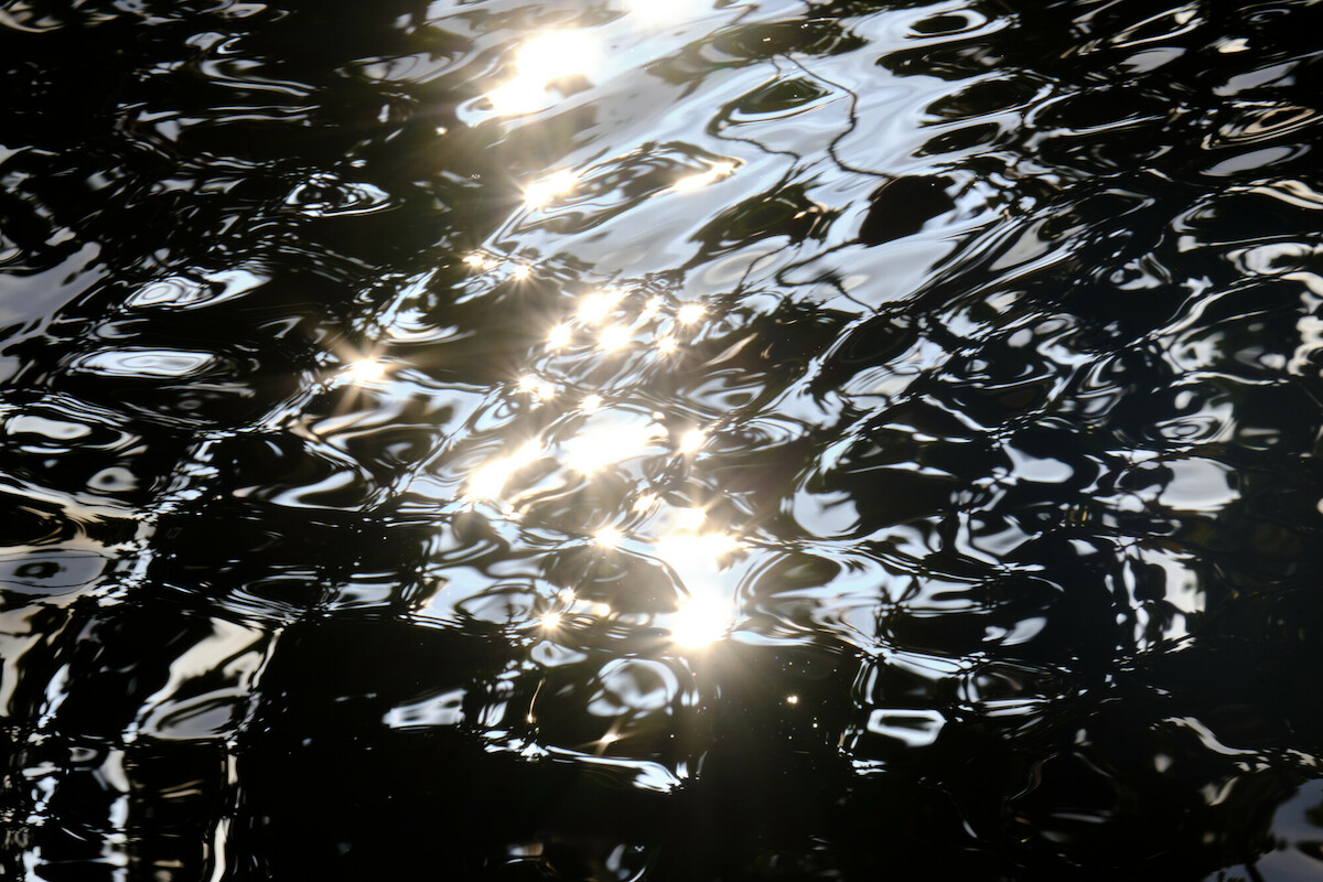Reflexionen der Sonne im Wasser in der Aue in Kassel