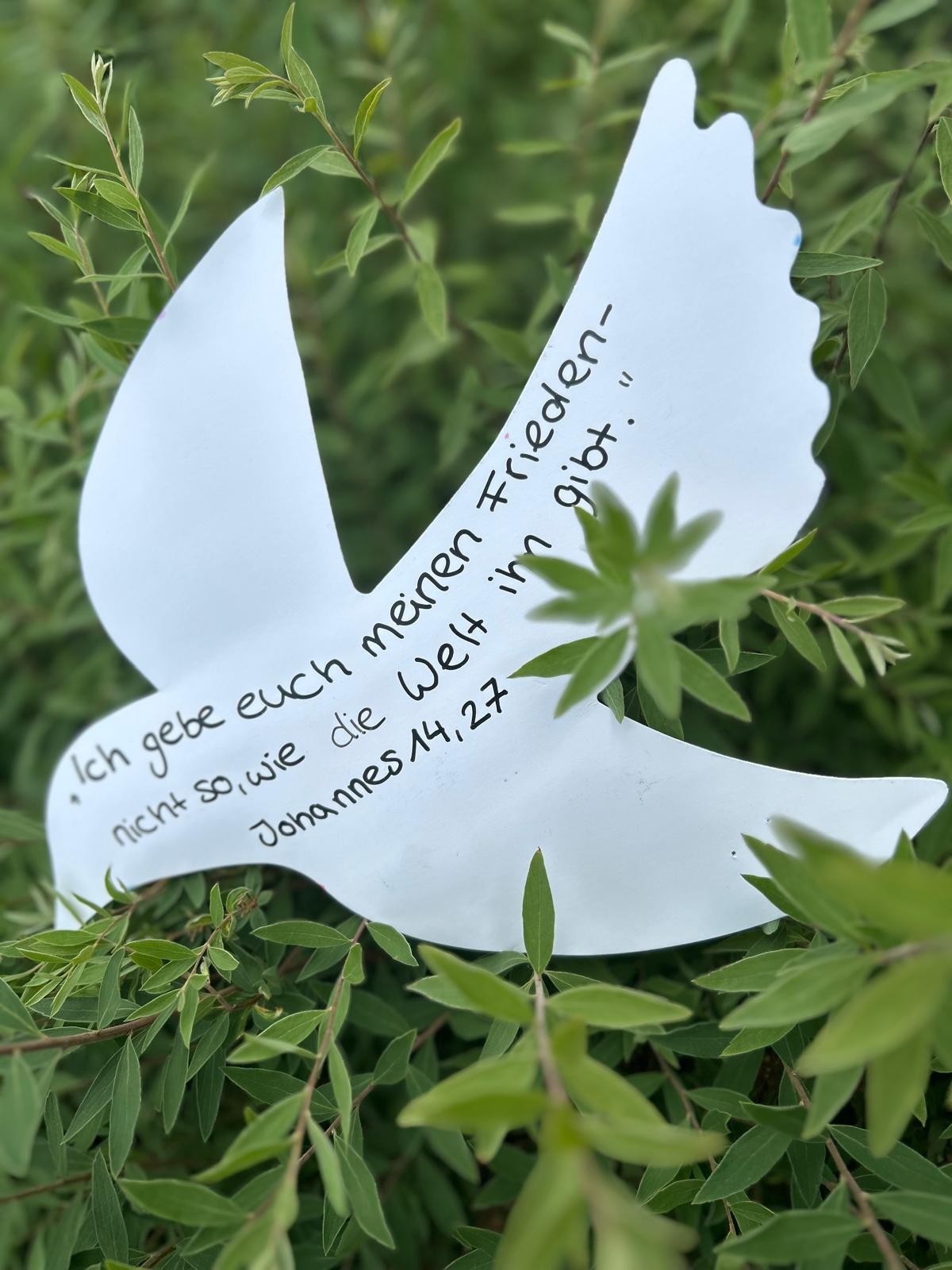 Papiertaube mit Schrift