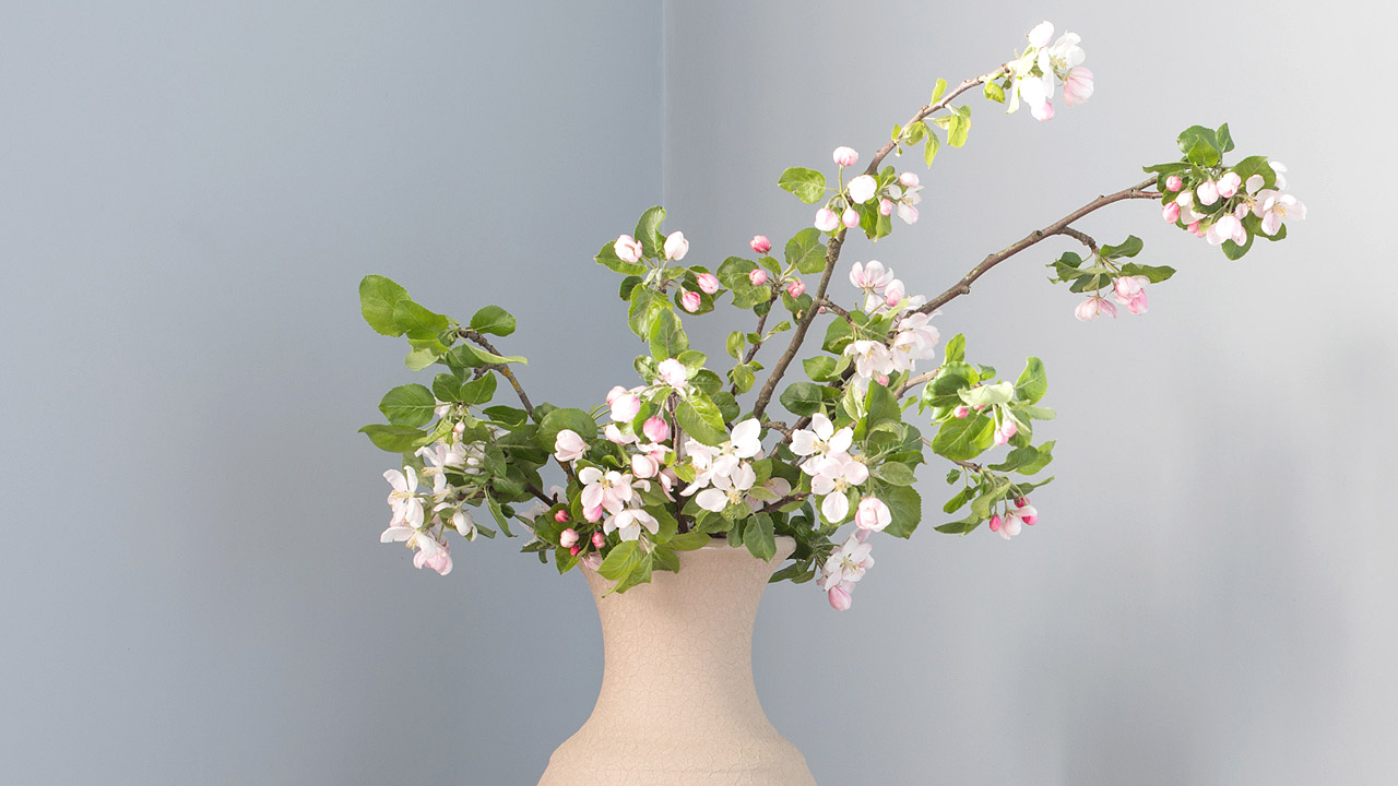 Vase mit Apfelbaumblüten