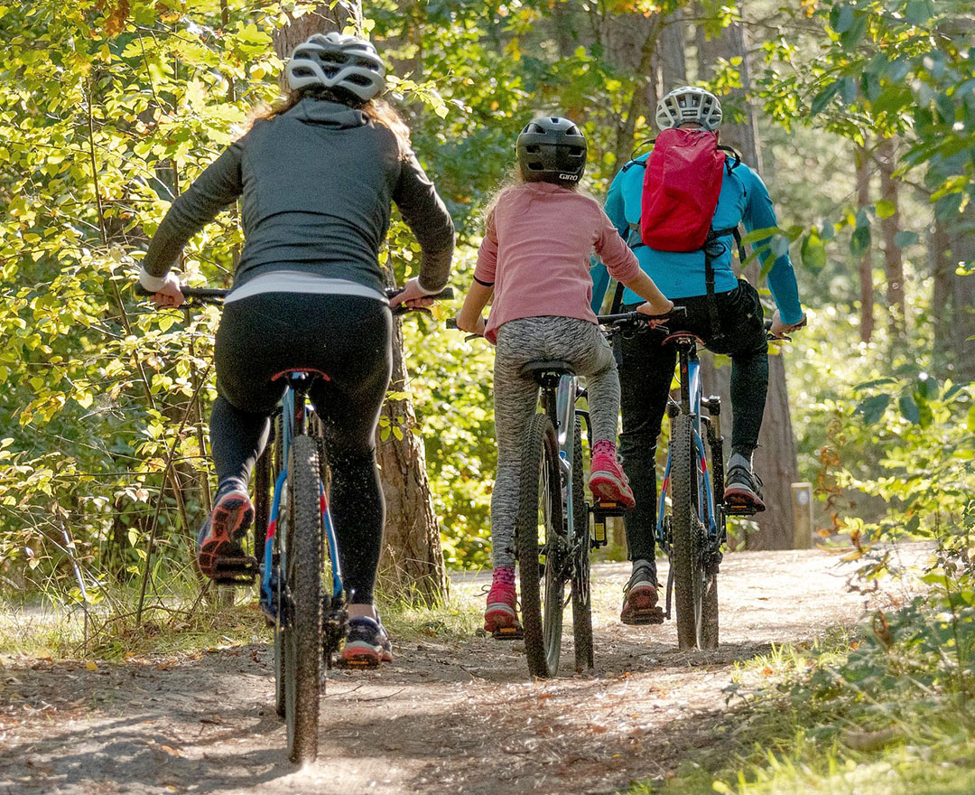 Radfahrer_Symbolbild_C_sabinevanerp_Pixabay_web.jpg Radfahrer