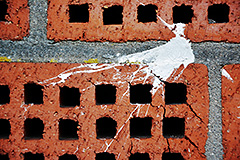 Vogelschiss auf einer Mauer