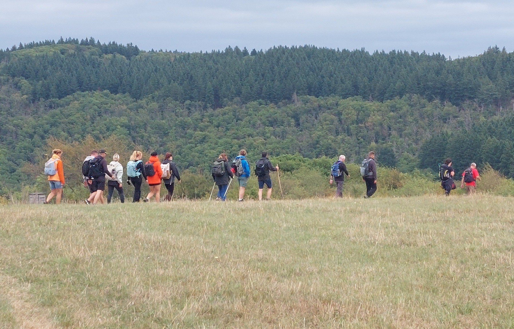 Ein Gruppe von Wanderern ist von hinten zu sehen. Im Hintergrund grüne Wälder.