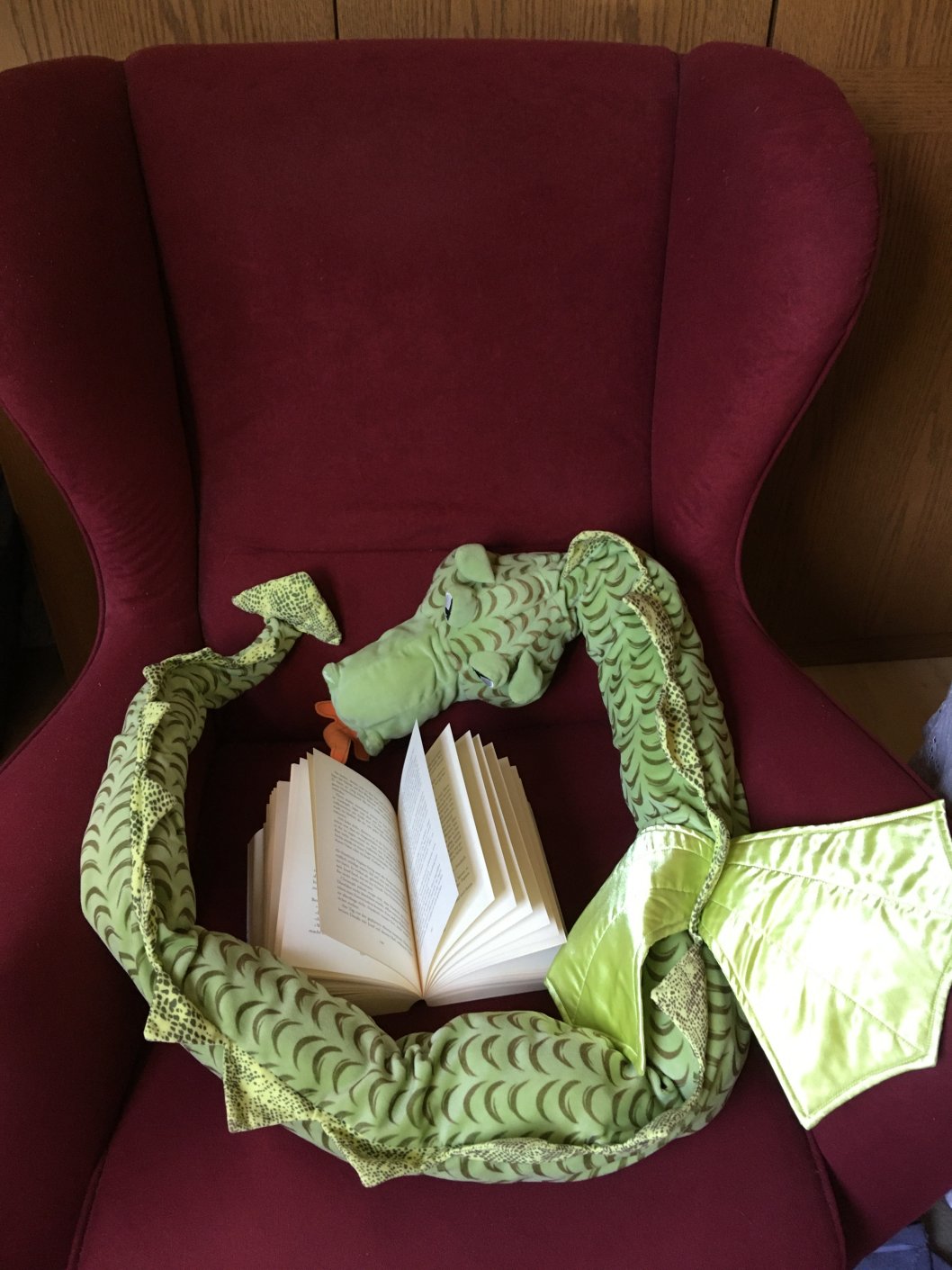 Geöffnetes Buch auf bequemen Sessel