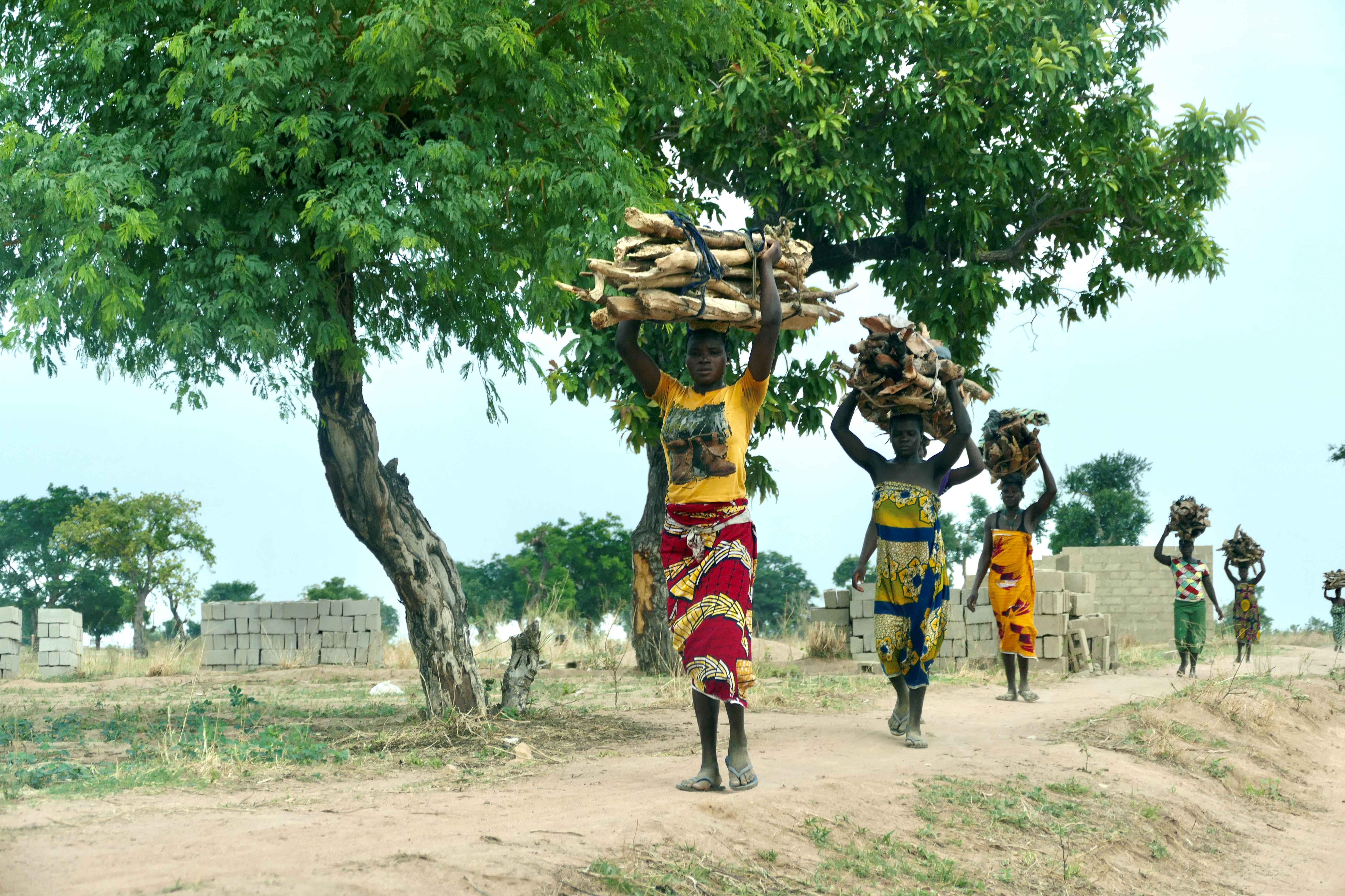 Frauen in Nigeria tragen ihre Lasten auf dem Kopf. Hier tragen sie Holzstücke und laufen in einer Reihe auf einem Weg.