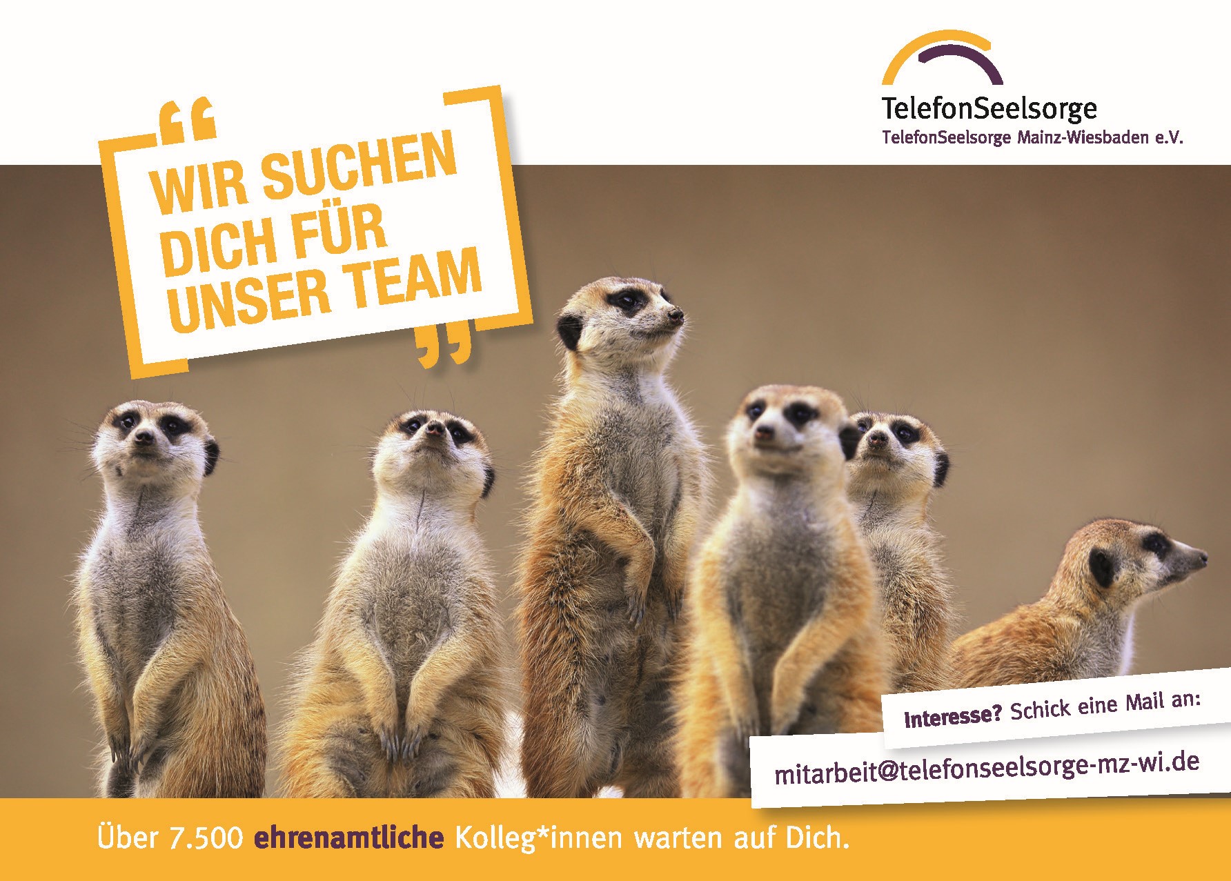 Die Telefonseelsorge wirbt mit POstkarten für neue Mitarbeitende. Auf dem Bild sind sechs neugierige Erdmännchen zusehen. Dazu die Überschrift: "Wir suchen Dich für unser Team"