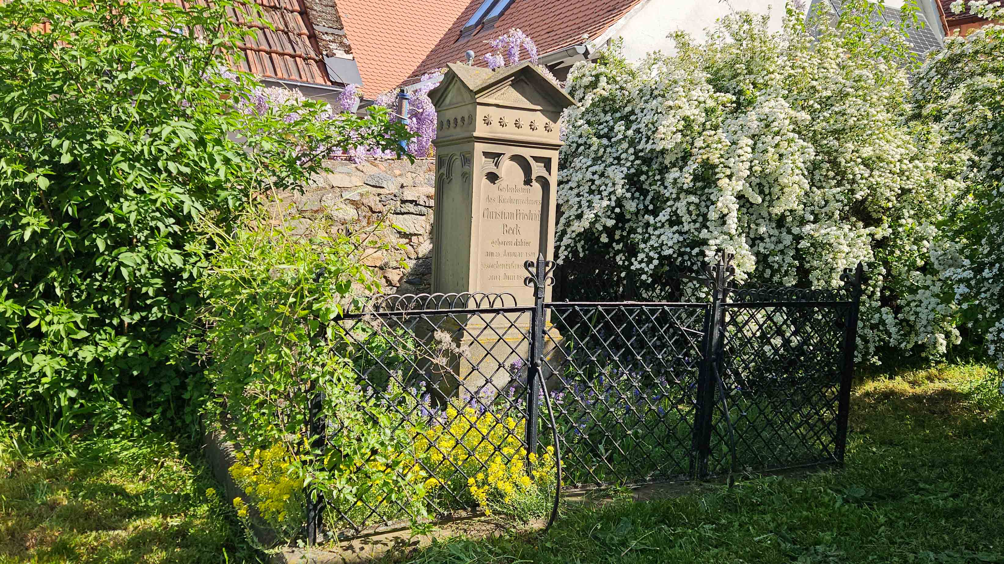 Zwingenberg_Naturnaher_Kirchhof_C_Evang_Kirchengemeinde_Zwingenberg_01_16zu9.jpg Das Bild zeigt ein steinernes Grabdenkmal innerhalb eines schwarzen Metallzauns. Es steht in einem naturnah gestalteten Bereich mit gelb und violett blühenden Pflanzen. Dahinter wachsen große blühende Sträucher vor einer niedrigen Natursteinmauer. Im Hintergrund sind Wohnhäuser mit roten Ziegeldächern zu sehen.
