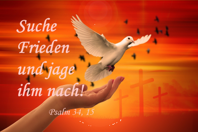 Friedenstaube fliegt aus einer Hand auf