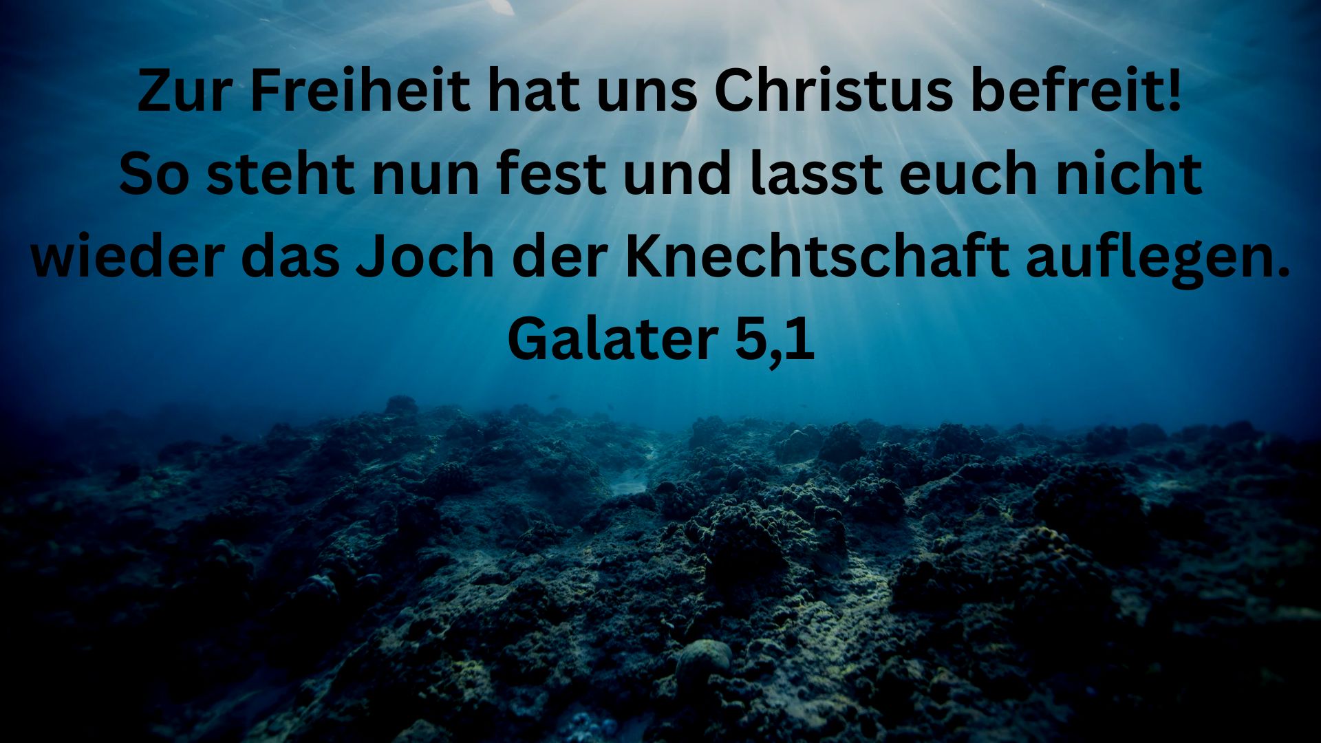 Das Bild zeigt den Monatsspruch für Oktober aus Galater 5,1.