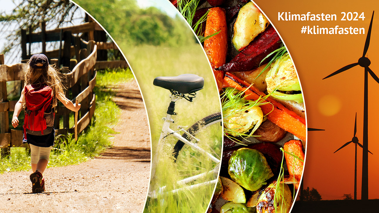 Fotocollage mit wanderndem Kind, Fahrrad auf einer Wiese, Gemüse und Windrädern