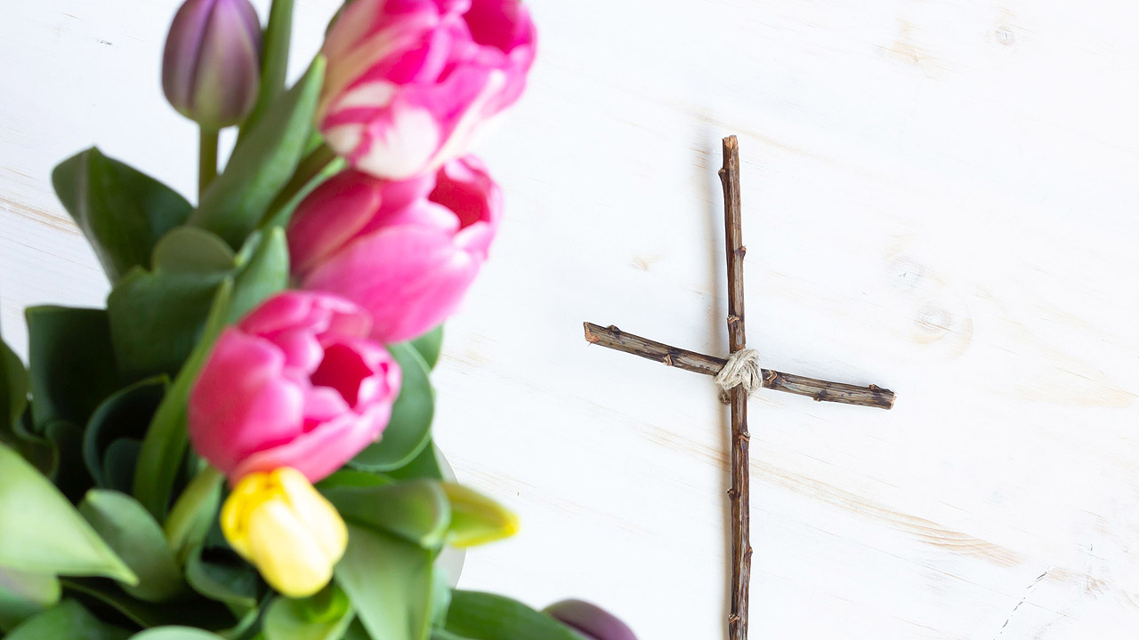 Ein Holzkreuz und pinke Tulpen