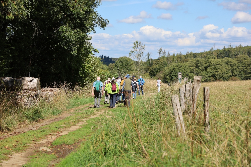 Eine Wandergruppe läuft einen Feldweg entlang.