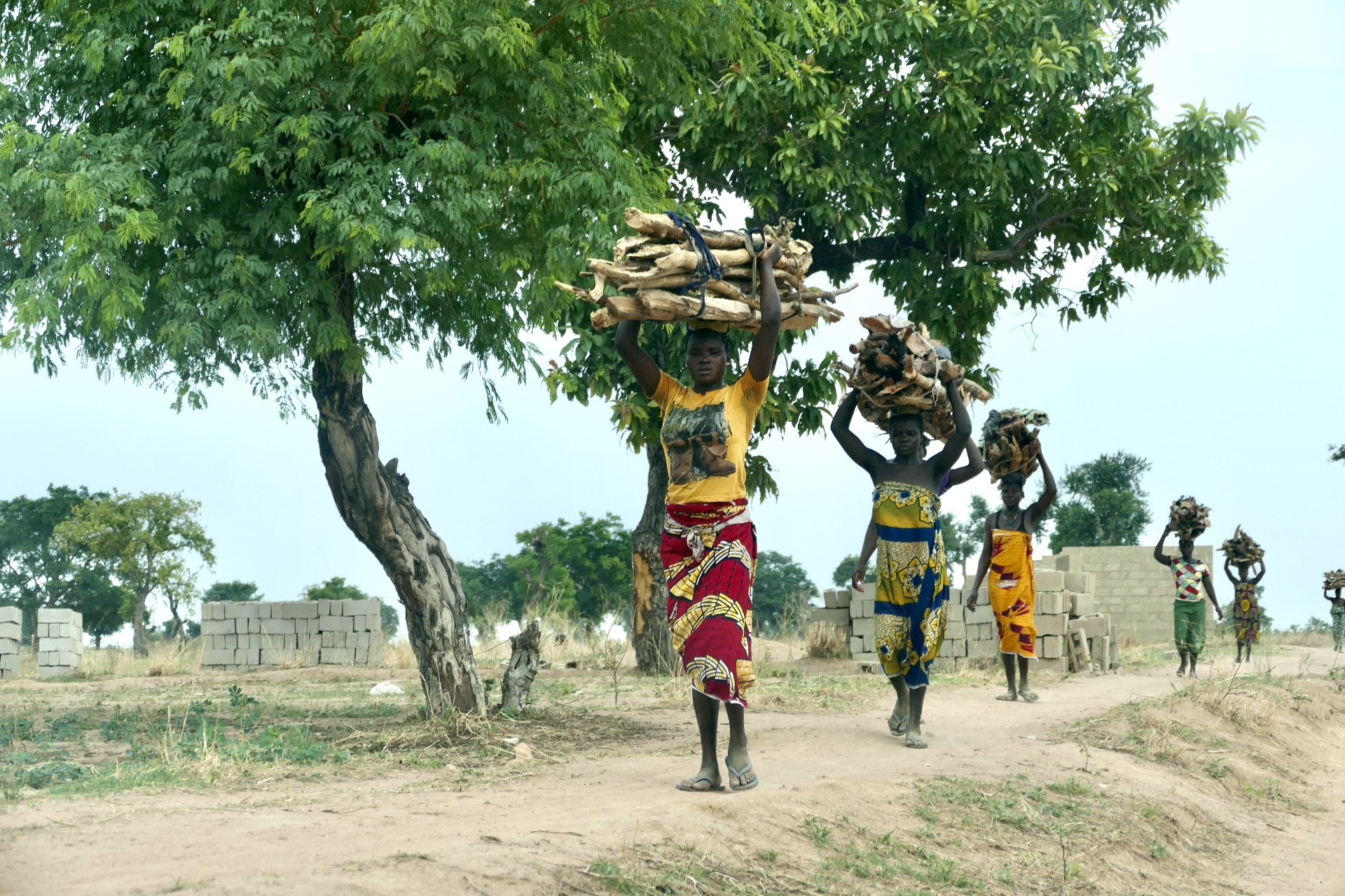 Mehrere Frauen tragen Holz auf ihren Köpfen.