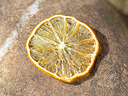 Gertrocknete Zitronenscheibe auf einem Stein