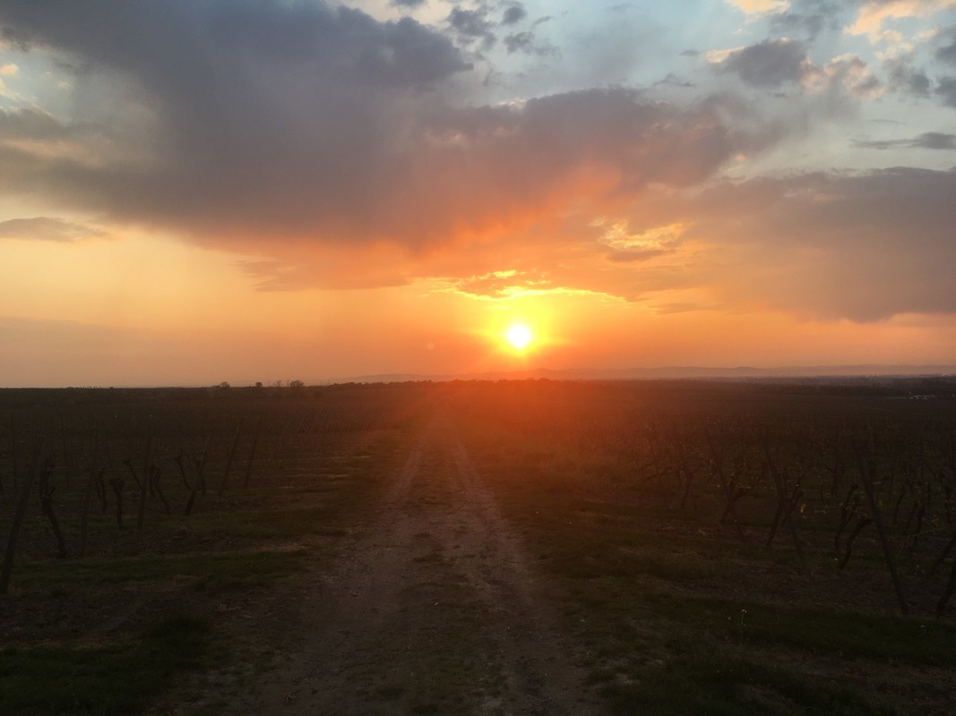Die Sonne geht auf