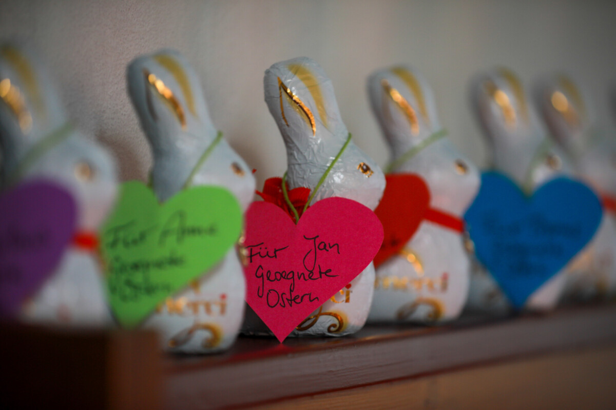 Schokolade Osterhasen Osterhasen aus Schokolade, versehen mit Ostersegenswunsch .