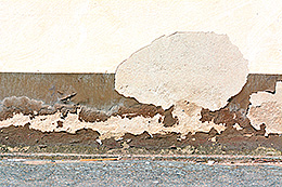 Farbabplatzungen auf einer Mauer, die wie ein Baum und Büsche aussehen.