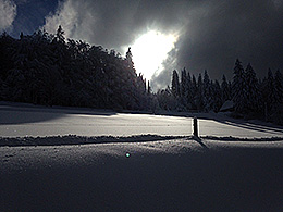 Schwarz-Weiß-Gegenlichtaufnahme einer Schneelandschaft
