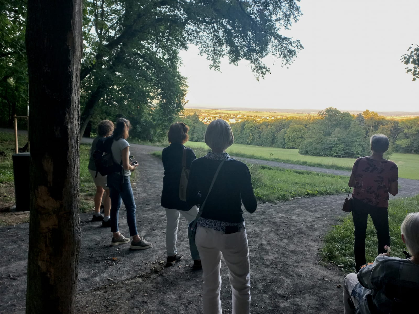Mehrere Frauen stehen am Waldrand an einer Lichtung und blicken in den Sonnenuntergang