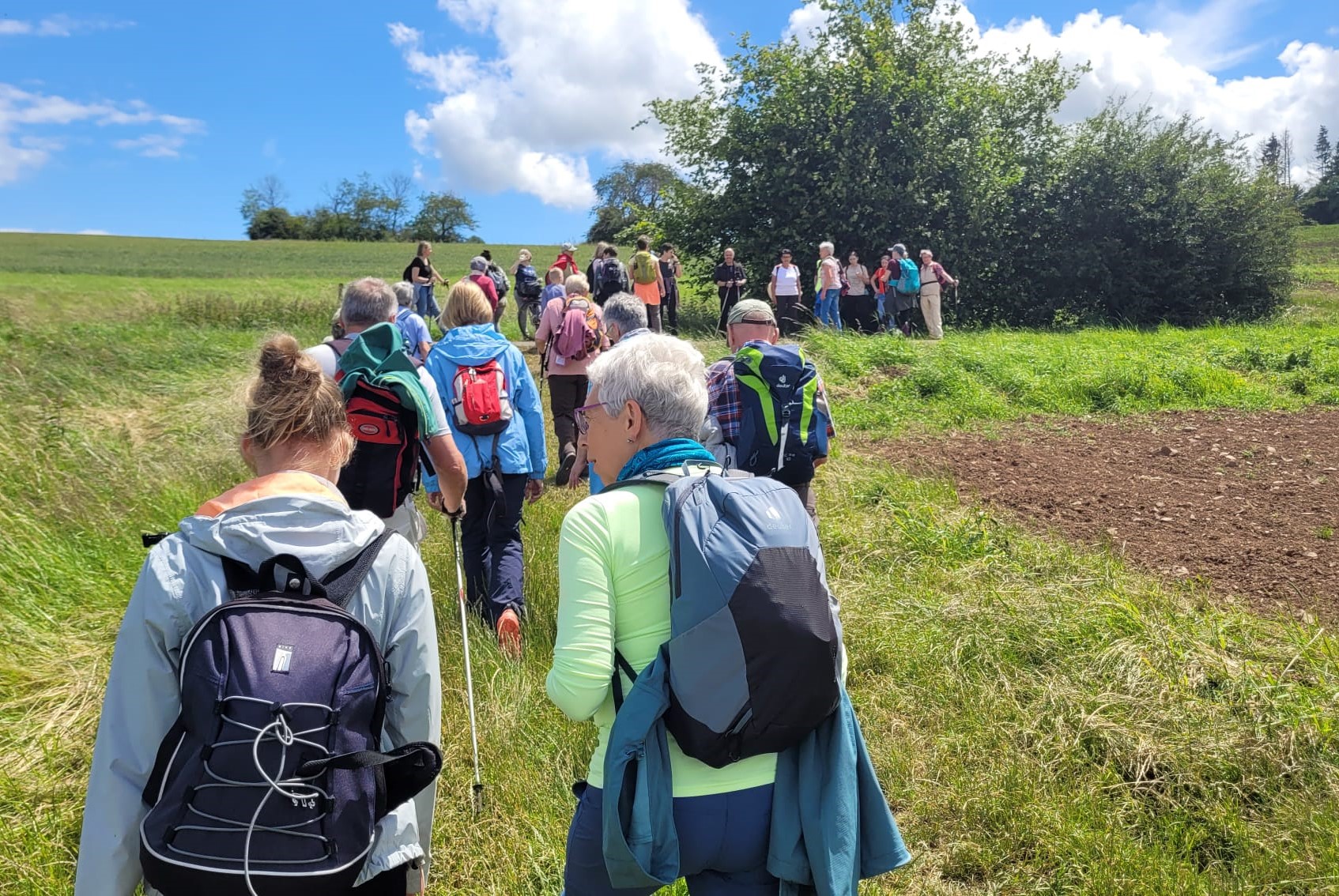 Wanderer, viele mit Rücksäcken, laufen auf ein Feldgehölz zu. Die Gruppe ist von hinten aufgenommen.
