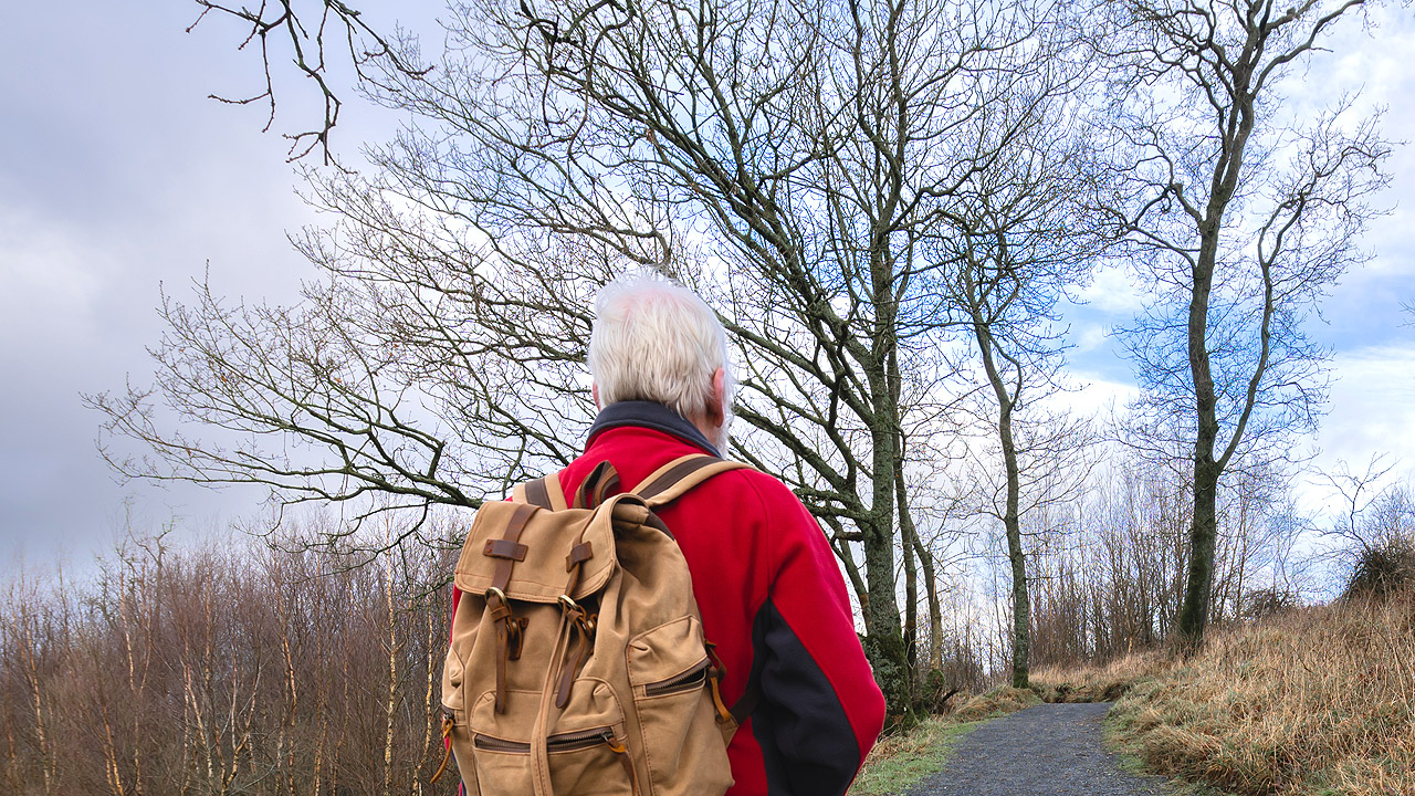 Lebensende Ein älterer Mann mit Rucksack läuft im Spätherbst an kahlen Bäumen einen Weg entlang, am Himmel sind Wolken zu sehen