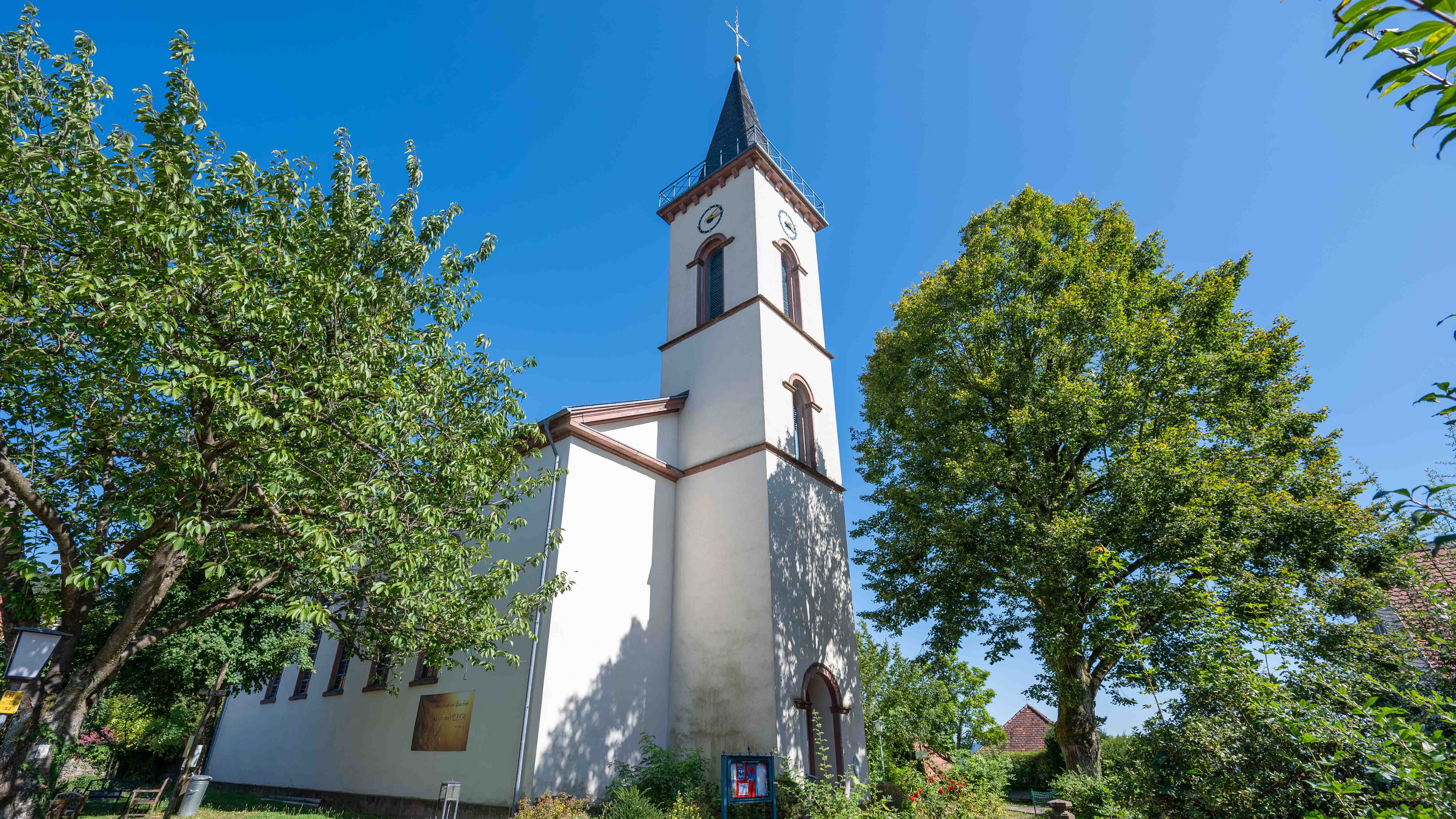 Die evangelische Kirche Lindenfels: Weiße Kirche mit hohem Turm zwischen großen Bäumen, aufgenommen bei klarem blauem Himmel an einem sonnigen Tag.