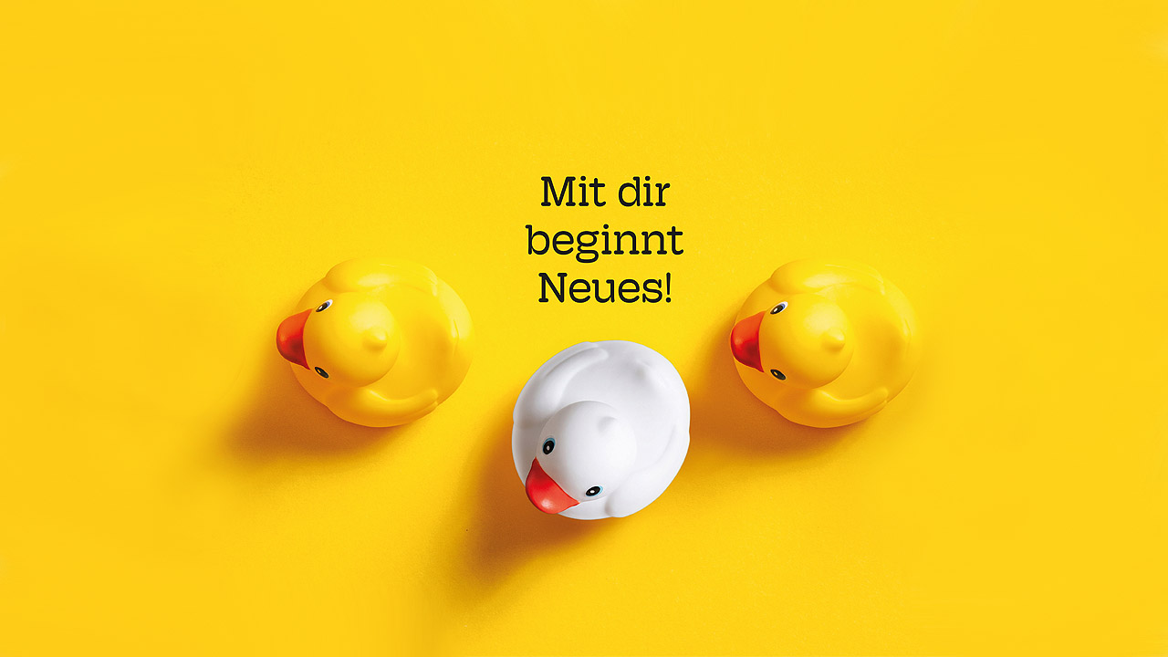 Buß- und Bettag Gelbe Quitscheenten, eine weiße Ente schert aus, ändert die Richtung