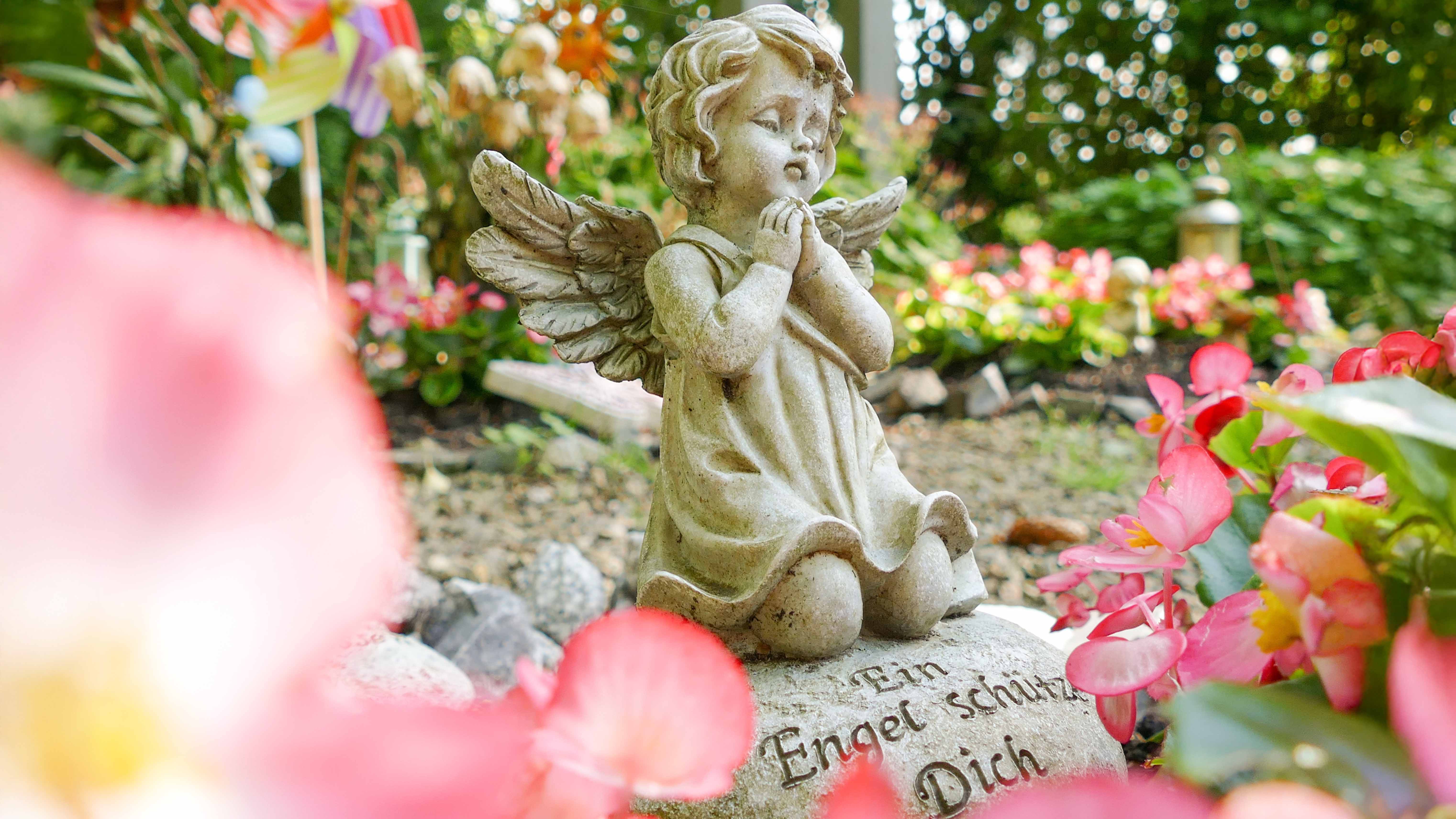 Kniende Engelsfigur mit gefalteten Händen auf einem Grab, umgeben von rosa Blüten. Auf dem Sockel steht die Inschrift „Mein Engel schütze Dich“.
