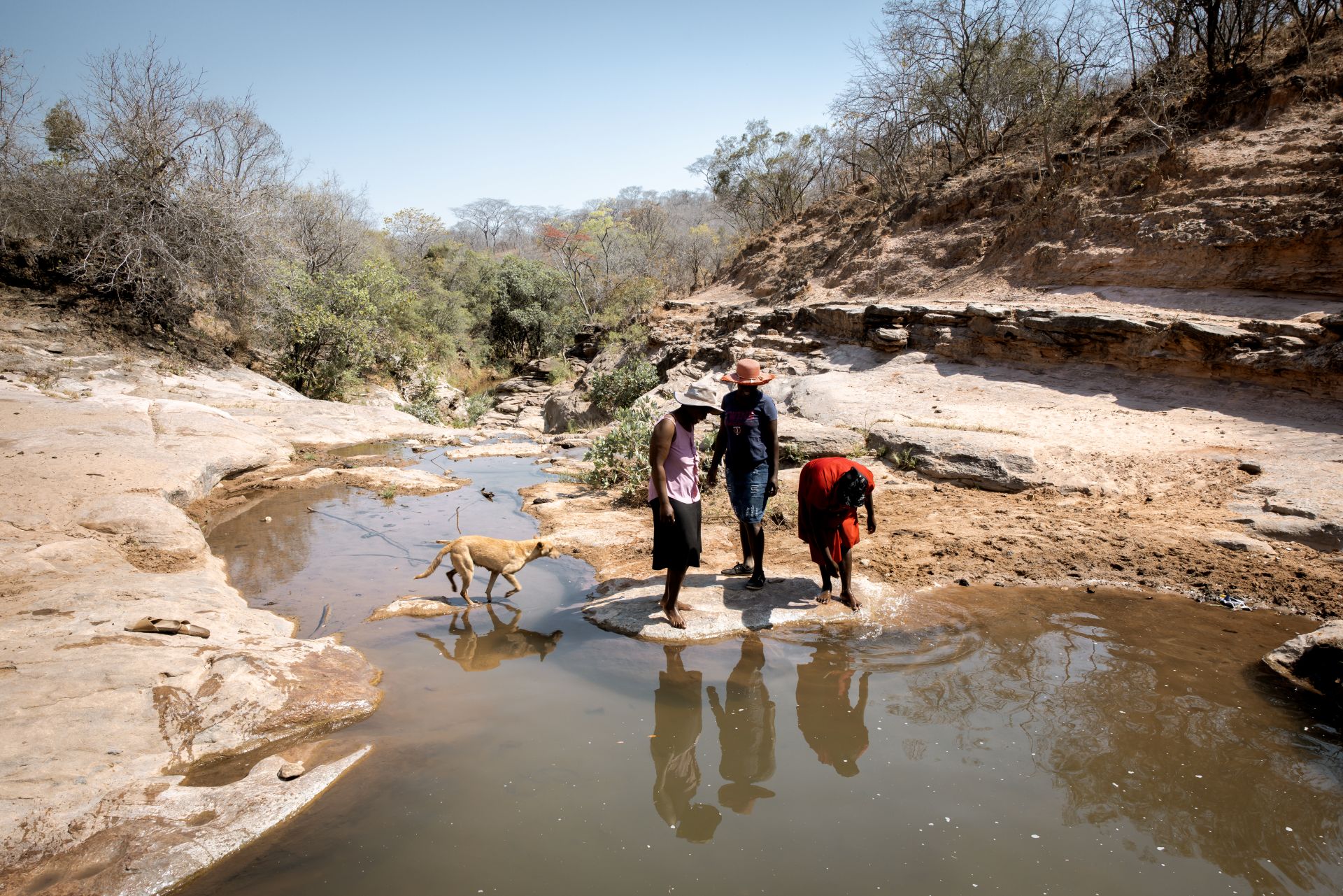 Die Freundinnen Beauty Nyathi (45), Gracious Mujuma (42) und Sihle Hahlani (31) am Fluss Chiurayi. Hier haben sie früher Wasser geholt. Durch MeDRAs Arbeit (BfdW-Partnerorganisation) hat sich ihr Leben sehr verbessert. Sie lernen und unterstützen sich g Die Freundinnen Beauty Nyathi (45), Gracious Mujuma (42) und Sihle Hahlani (31) am Fluss Chiurayi. Hier haben sie früher Wasser geholt. Durch MeDRAs Arbeit (BfdW-Partnerorganisation) hat sich ihr Leben sehr verbessert. Sie lernen und unterstützen sich gegenseitig.