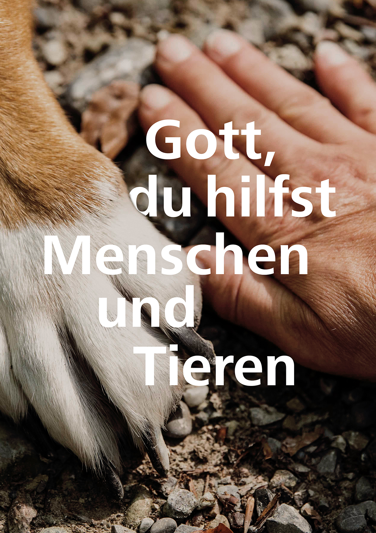 Das Titelmotiv des ACK Schöpfungstages 2025 zeigt eine Tierpfote neben einer menschlichen Hand
