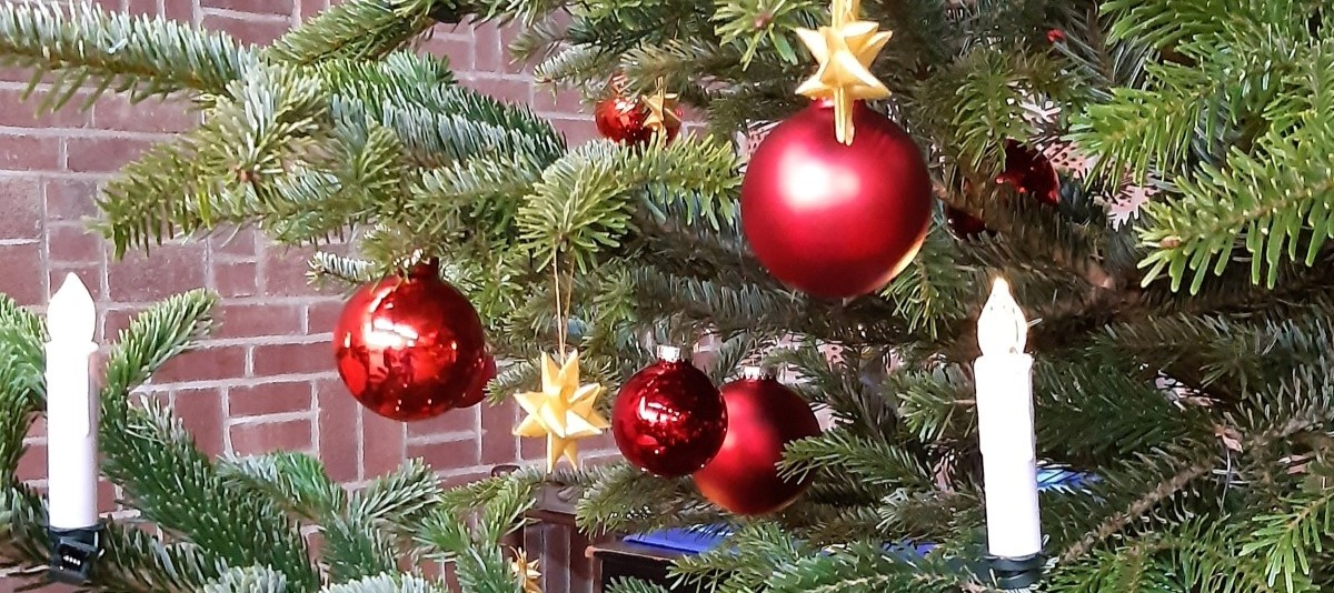 Zweige eines Weihnachtsbaums mit roten Kugeln und goldenen Sternen