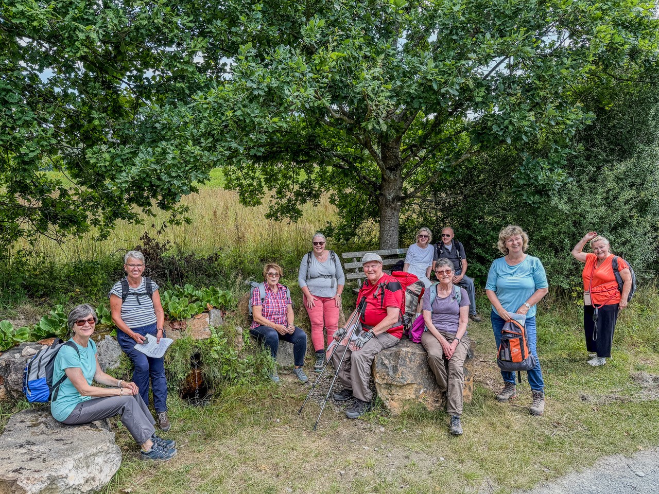 Das Bild zeigt eine Gruppe Männer und Frauen - Ehrenamtliche des Hospizdienstes - in Wanderkleidung auf einem kleinen Picknickplatz am Waldrand. Auf dem Bild ist auch ein Hund zu sehen.  