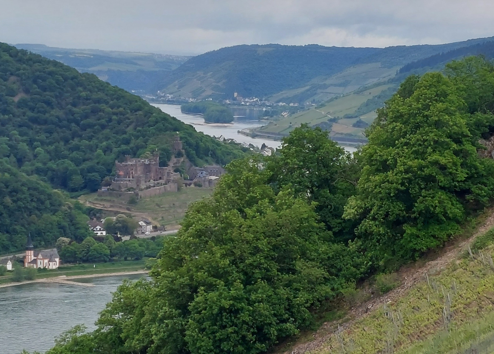 Das Foto zeigt das Rheintal mit seinen Kurven von oben in einer weiten Perspektive  