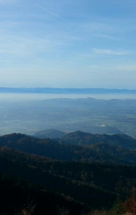 Das Foto zeigt einen Blick von einem Berg auf eine Waldlandschaft und blauem Himmel 