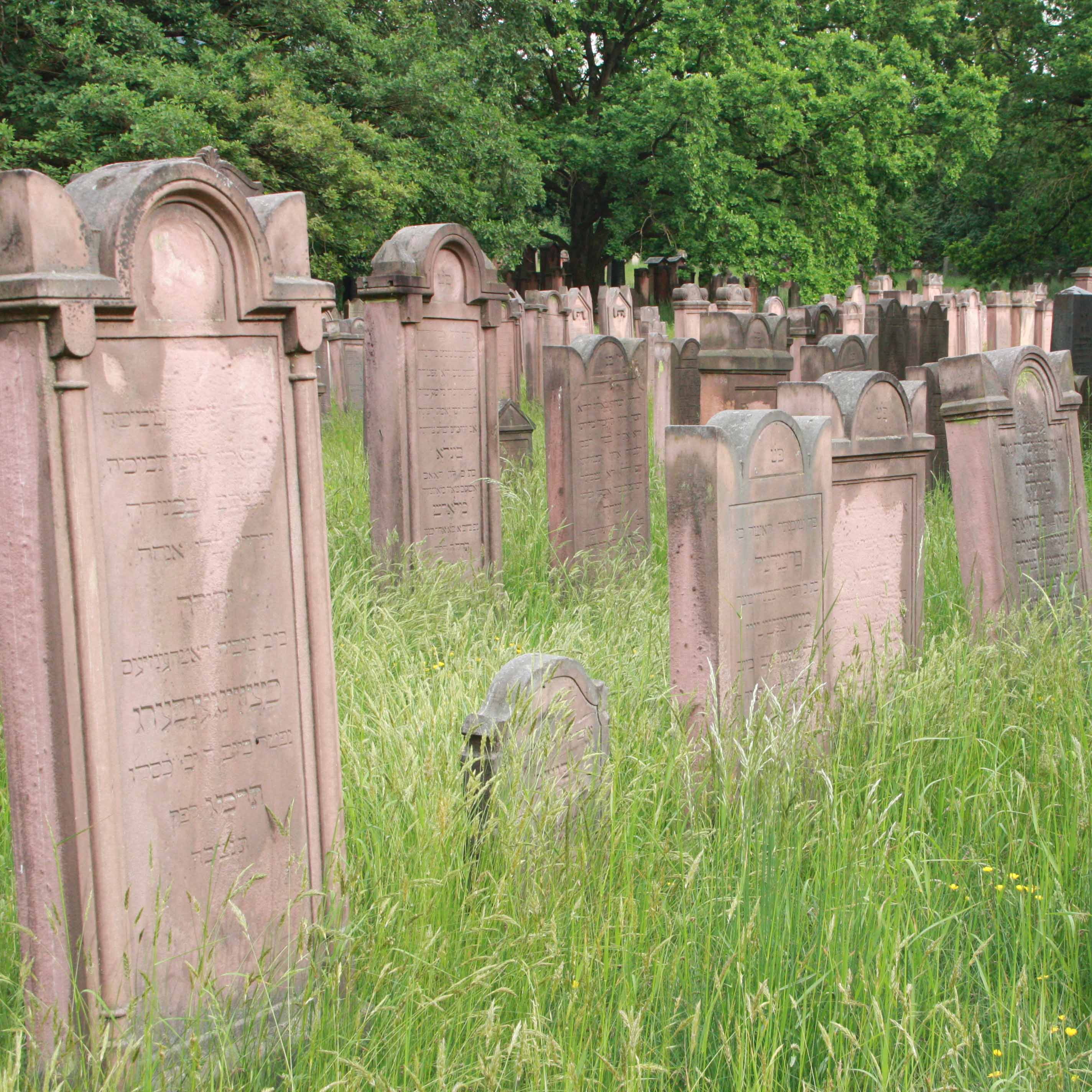 Grabsteine auf jüdischem Friedhof.