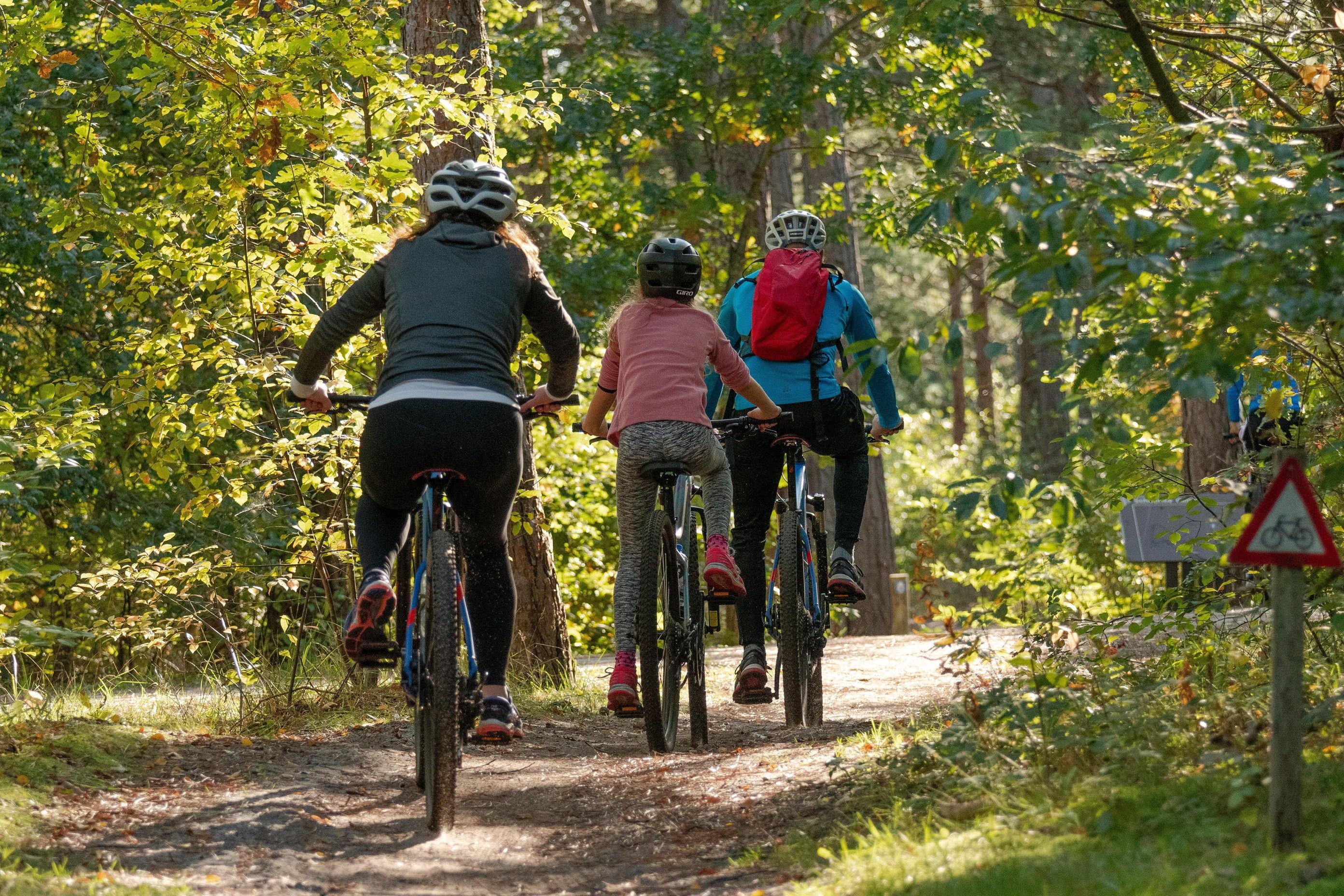 Menschen auf Fahrrädern im Wald