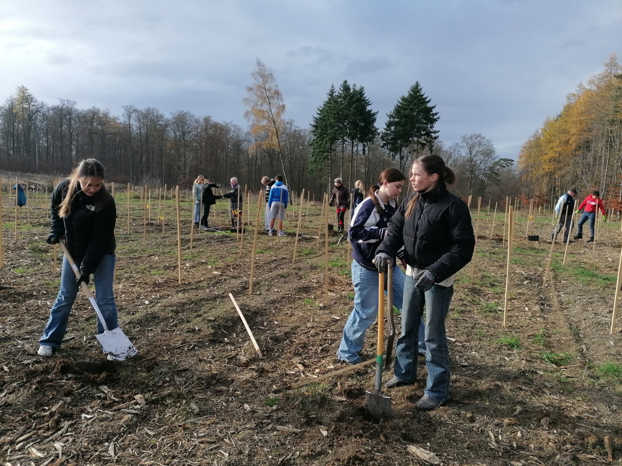 Konfis pflanzen 400 Jungbäume Konfis pflanzen 400 Jungbäume: Jugendliche stehen auf einem Acke rund graben mit Spaten Löcher für Jungbäume.