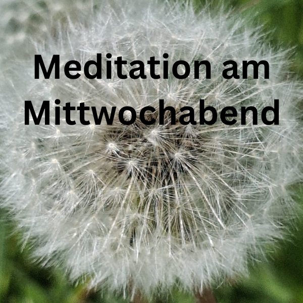 Pusteblume