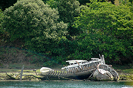 Schiffswrack an einem Flussufer vor Bäumen.