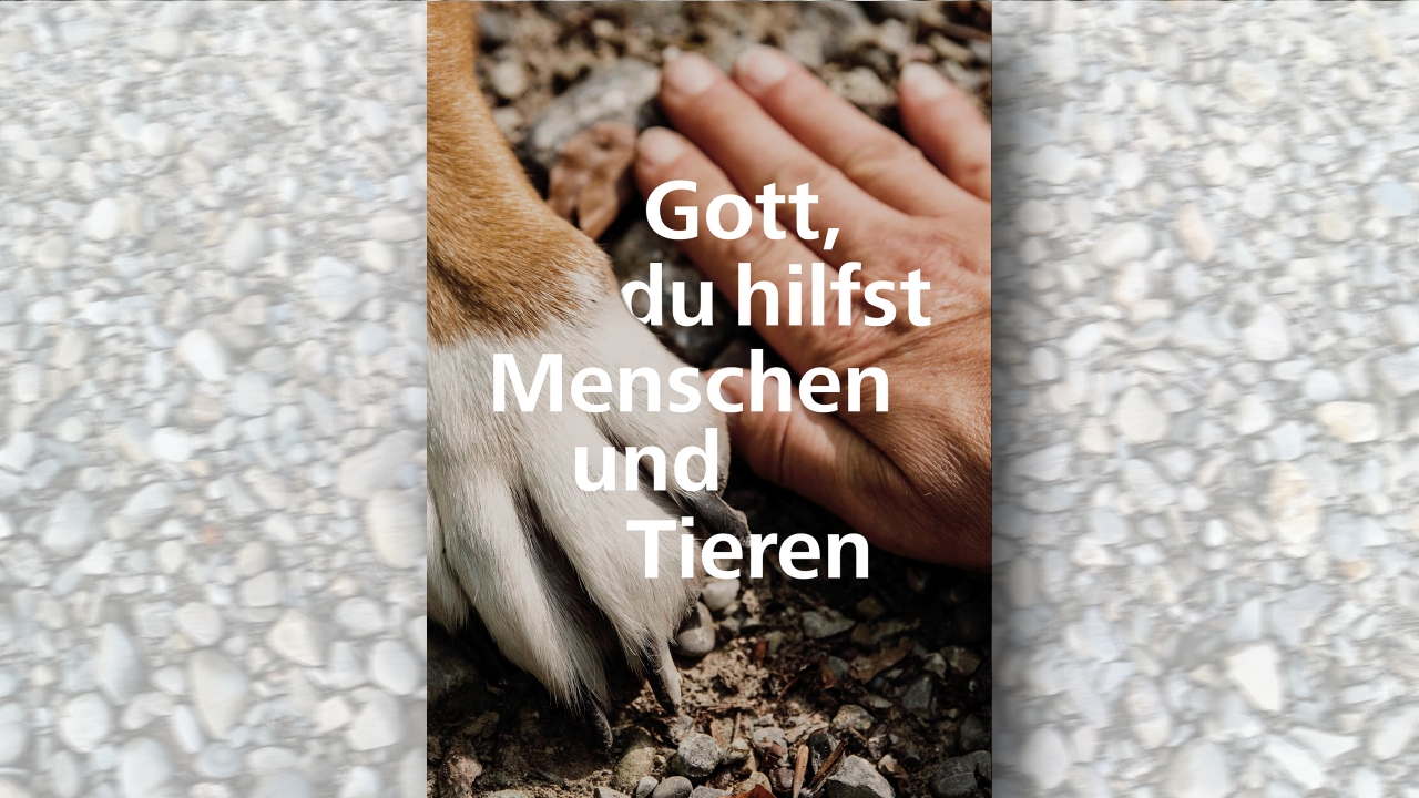 Hundepfote und menschliche Hand ruhen nebeneinander auf dem Boden