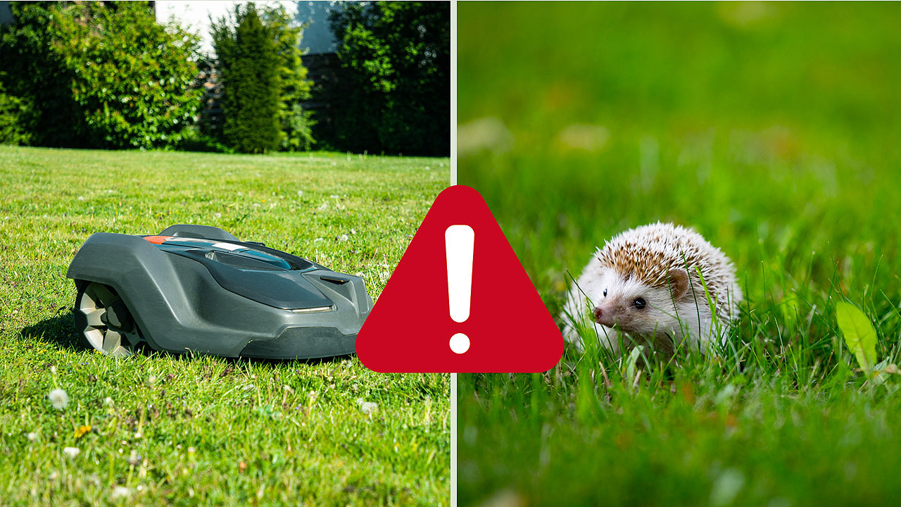Mähroboter und Igel sowie ein Warnschild