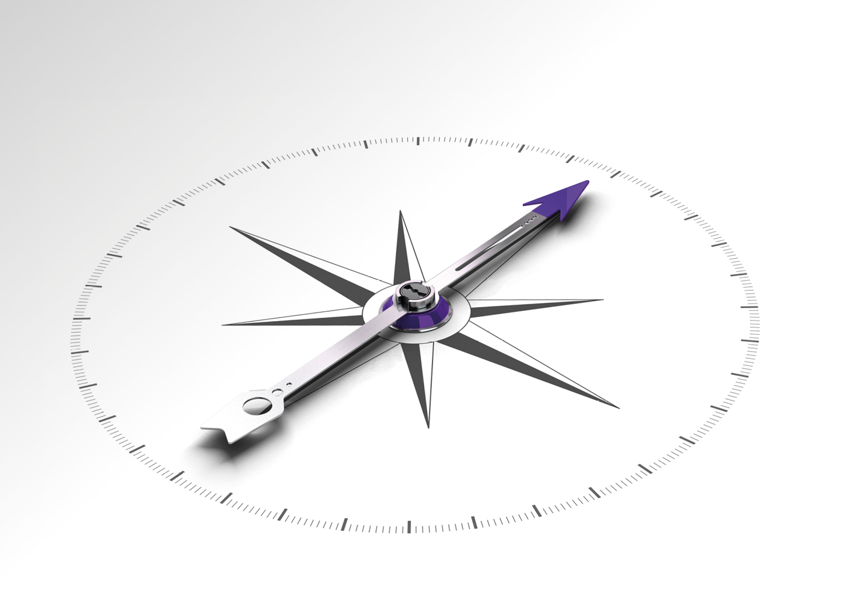 Kompassnadel auf Windrose mit Gradskala