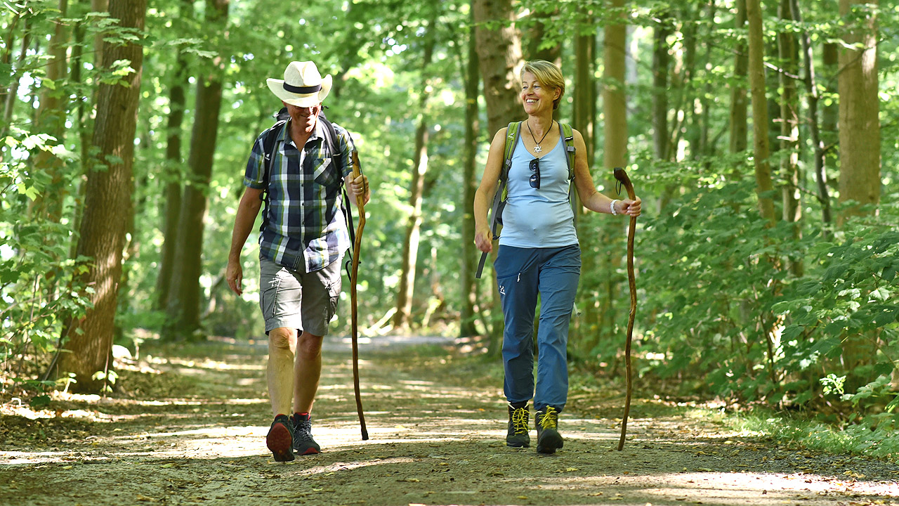 Ein Paar läuft durch den Wald