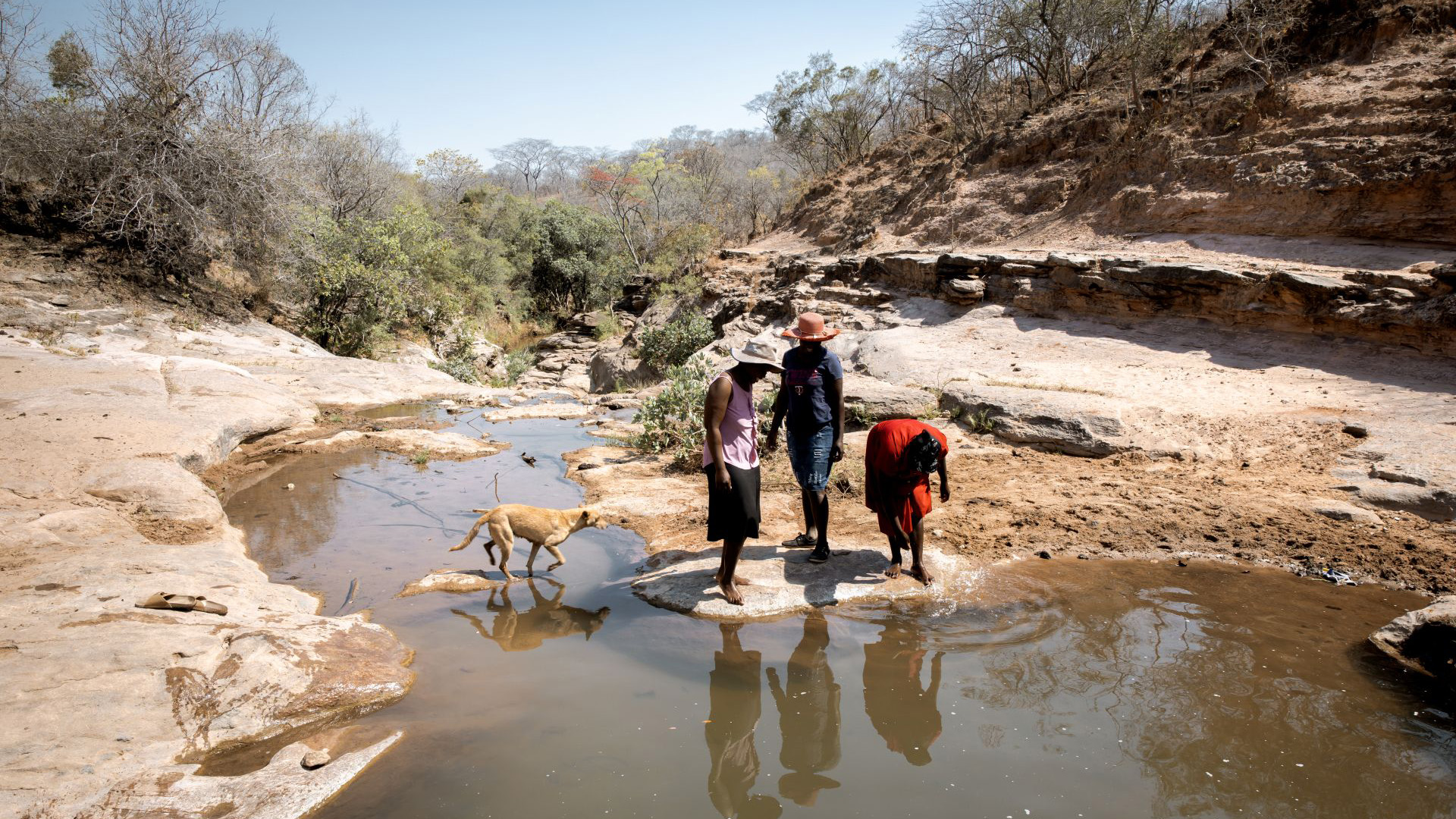Brot_für_die_Welt_MeDRA_Simbabwe_C_Kathrin_Harms_Brot_f_d_Welt_SM.jpg Drei Menschen stehen an einer flachen Wasserstelle in einer trockenen Felslandschaft, während ein Hund das Wasser durchquert.