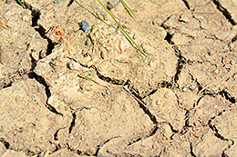 Trockenheitsrisse im Boden