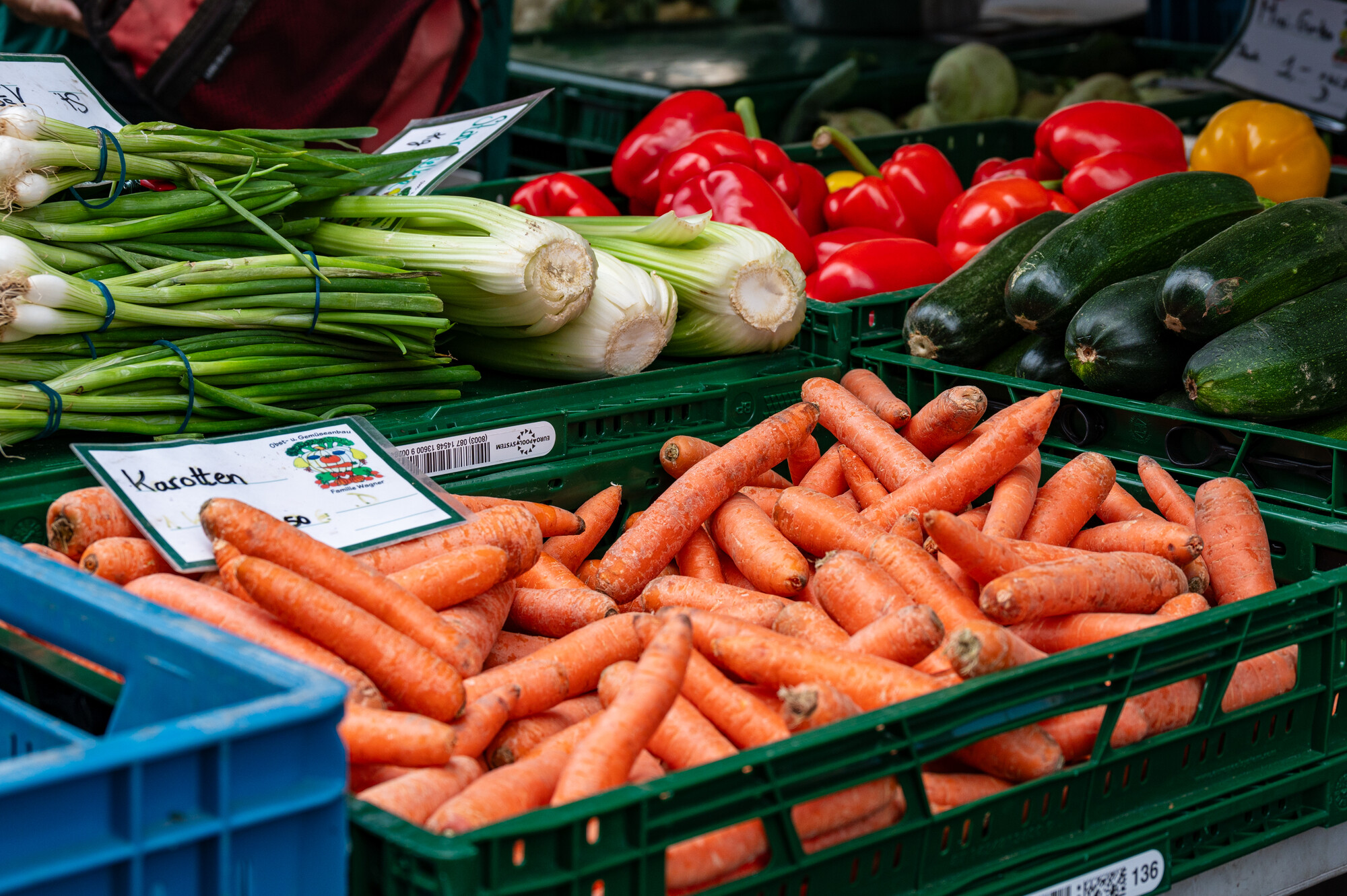 Marktstand mit Möhren, Frühlingszwiebeln, Zucchini, roter Paprika und Fenchel